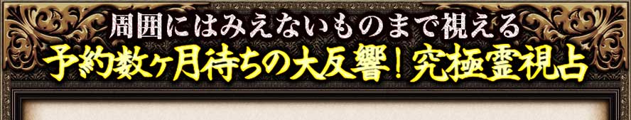 周囲にみえないものまで視える　予約数ヶ月待ちの大反響！究極霊視占
